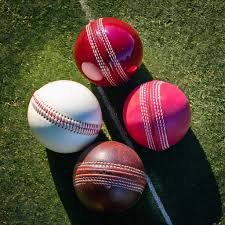 cricket balls